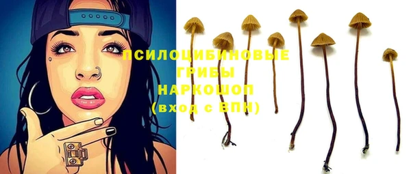герыч Алексин