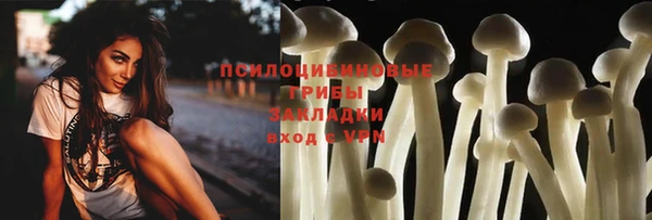 прущий лед Алзамай