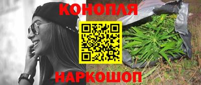 каннабис Кингисепп