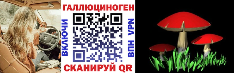 Псилоцибиновые грибы Psilocybe  Ирбит 